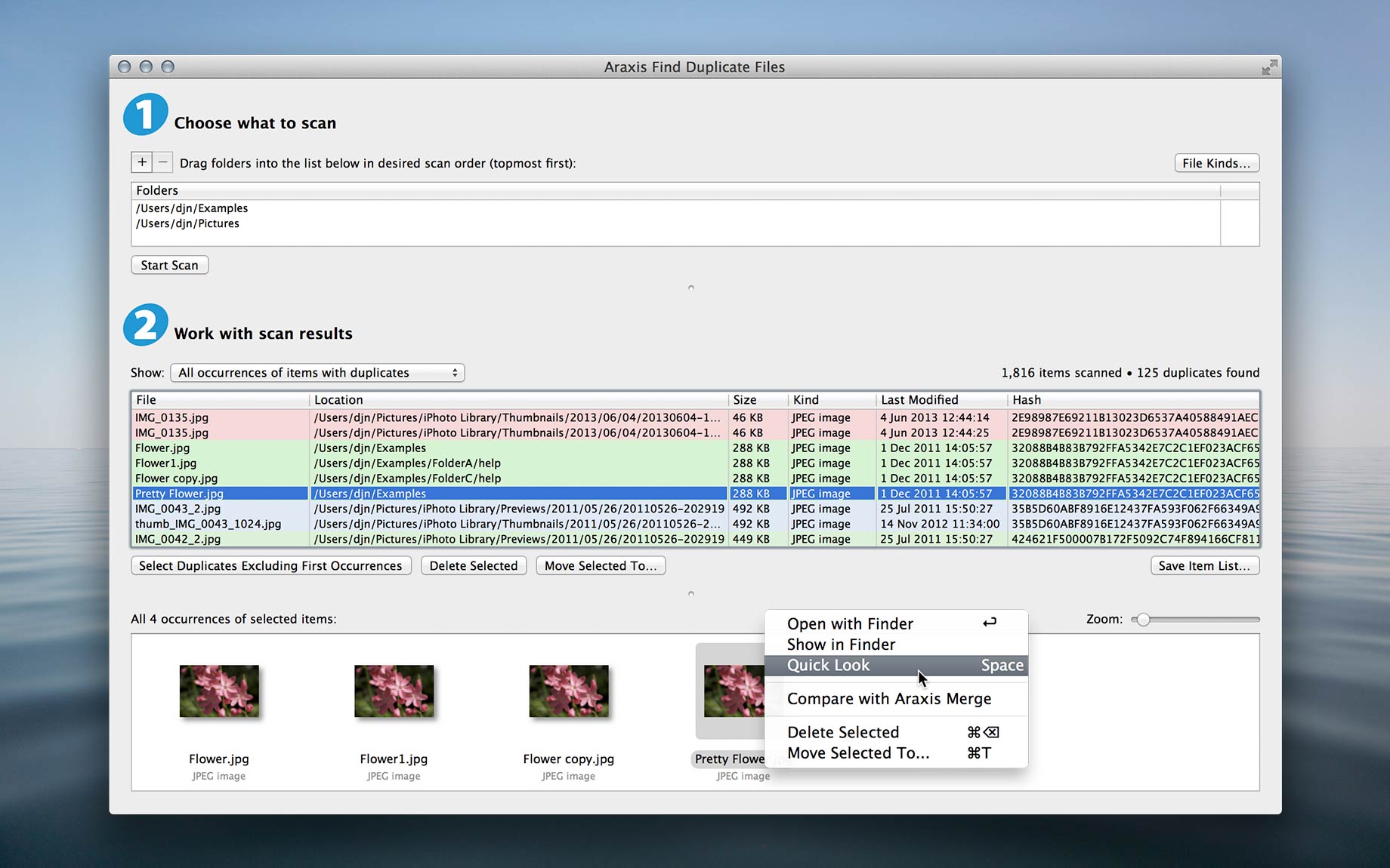 Araxis Find Duplicate Files for OS X screenshot