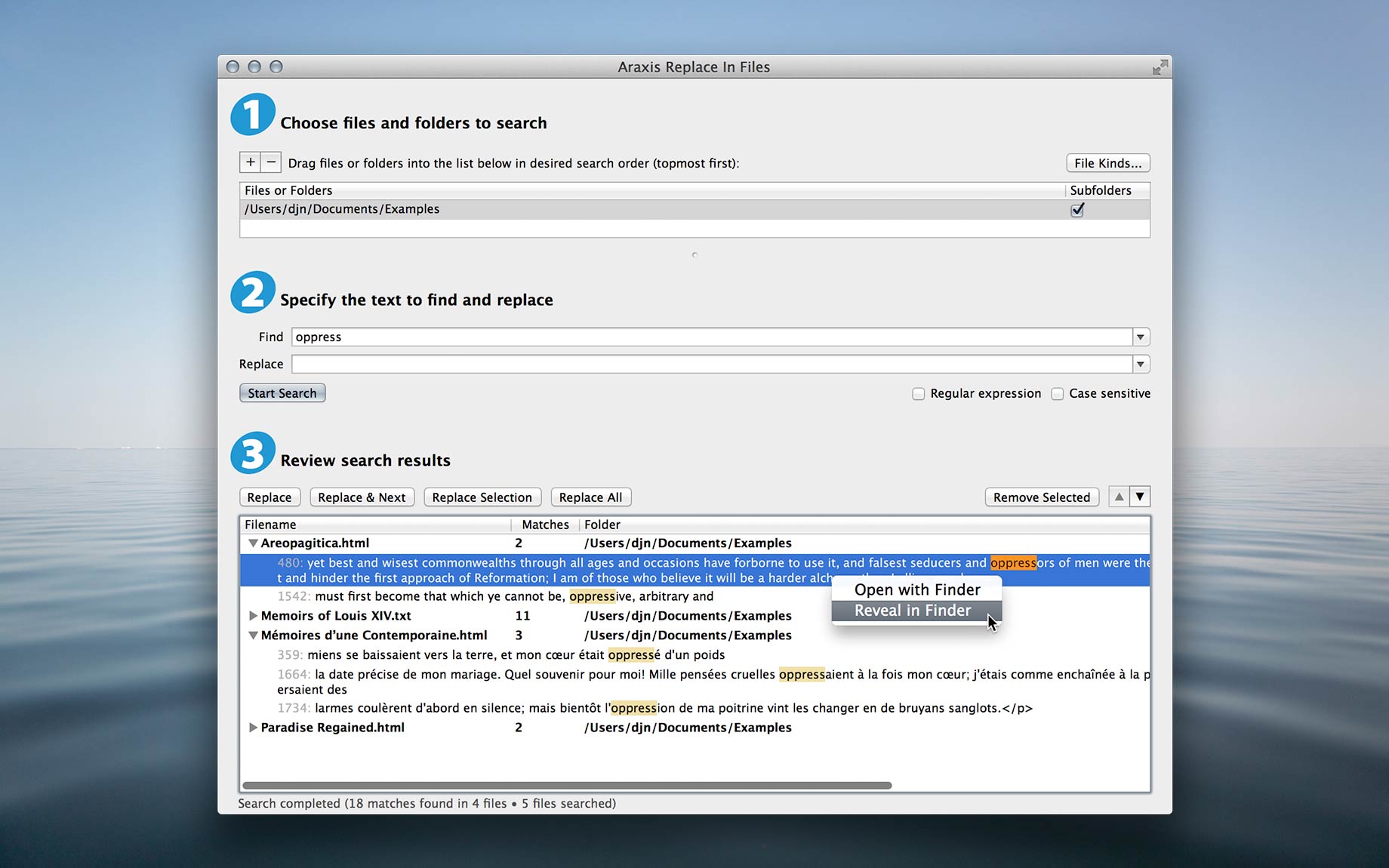 Araxis Replace In Files for OS X screenshot